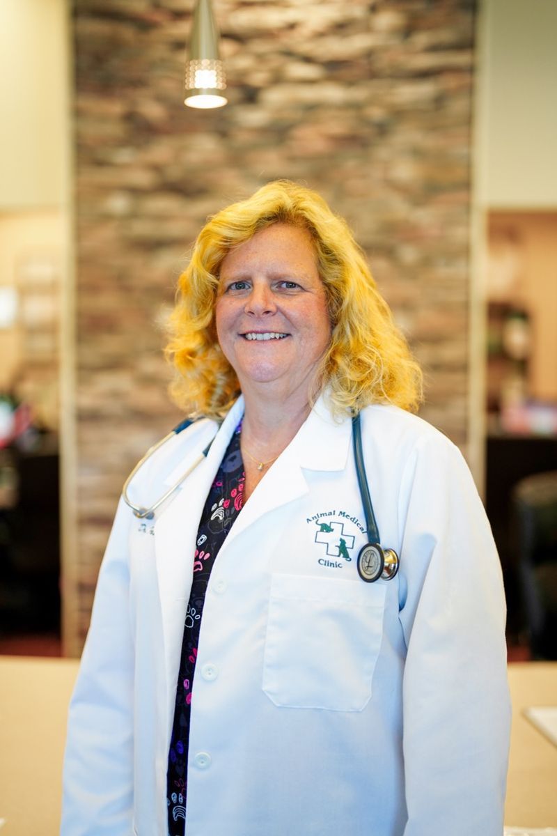 HighQuality Vet Hospital in Huntsville, AL Animal Medical Clinic